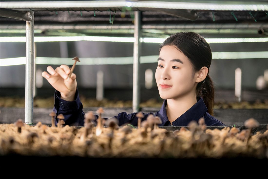 MS88����(�й�)���޹�˾����