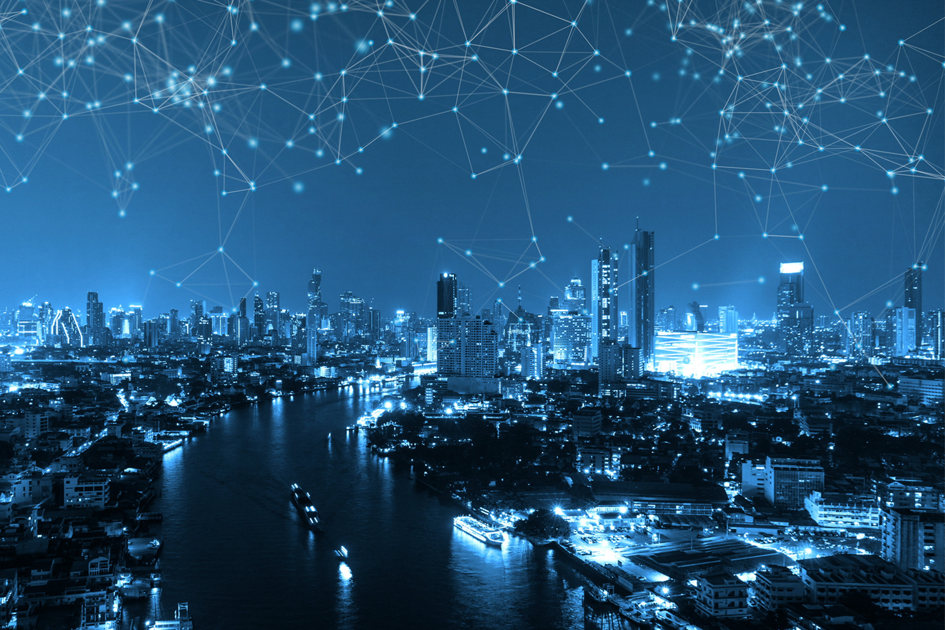 MS88����(�й�)���޹�˾����