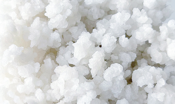 ������¿�������