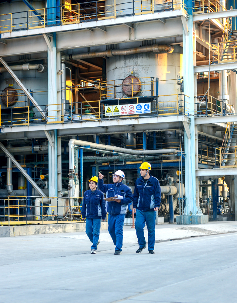 MS88����(�й�)���޹�˾����