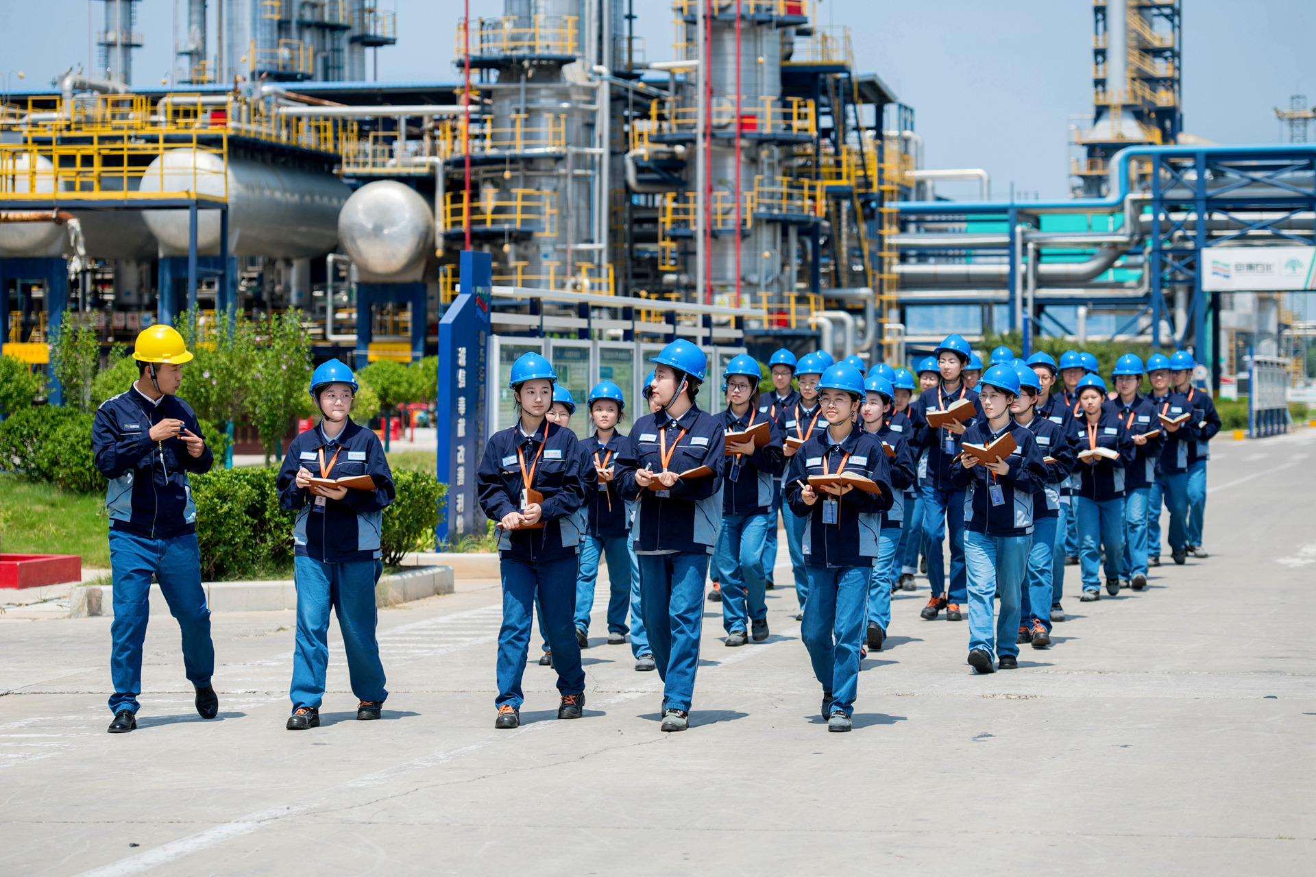 MS88����(�й�)���޹�˾����